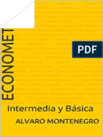 Econometria Intermedia y Basica