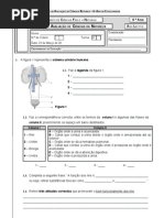 Sistema Excretor+plantas 2005_06