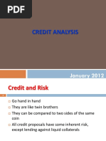 IRB Approach for Credit Risk Capital | PDF | Credit Risk | Business Law
