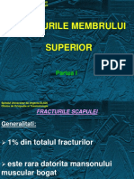 Fracturile Mb. Sup. I