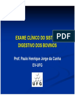 Semiologia Digestivo Bovino 2010
