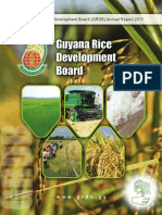 GRDB Annual Report 2011