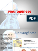 A Neurogênese