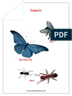 Insects PDF