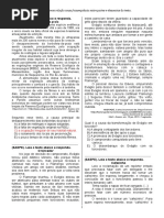descritor 14