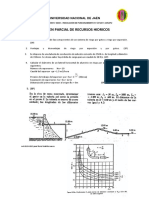 Examen Parcial de Recursos Hidricos