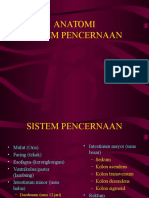 Anatomi Sistem Pencernaan PDF