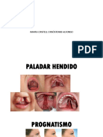 Presentacion Patologia Imagenes