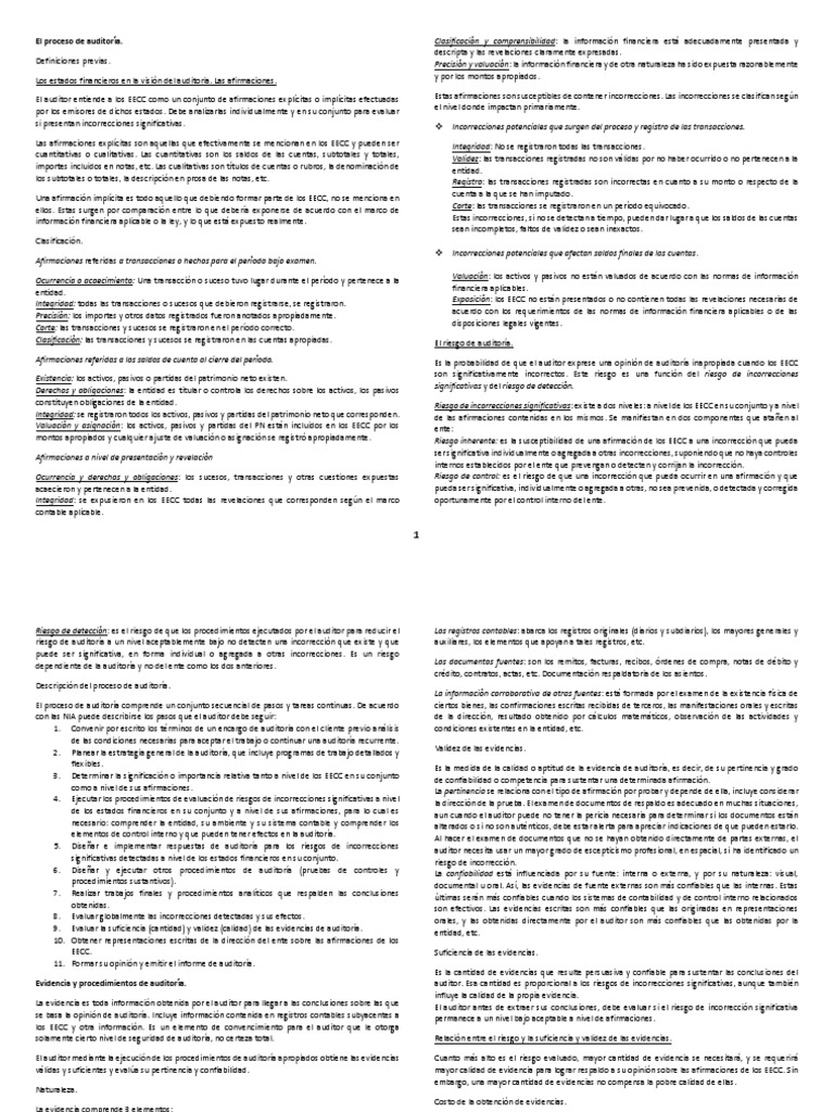El Proceso de Auditoria | PDF | Contralor | Auditoría