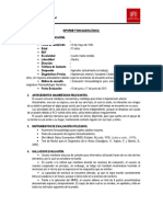 316632852-Informe-fonoaudiologico-adulto.docx