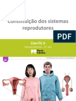 Sistemas reprodutores masculino e feminino