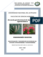 Taxonomía vegetal: identificación de especies de gymnospermae y angiospermae