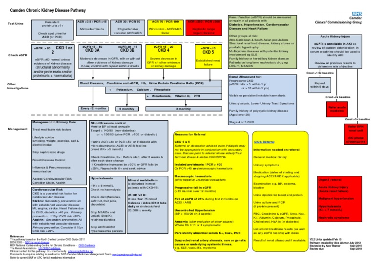 CKD Pathway for Primary Care | PDF | Chronic Kidney Disease | Renal ...