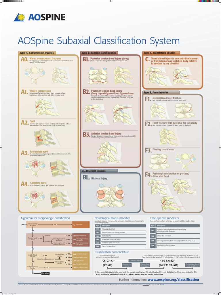Ao Spine Classification | PDF | Vertebra | Vertebral Column