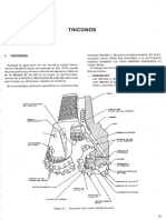05triconos-121014001000-phpapp02.pdf