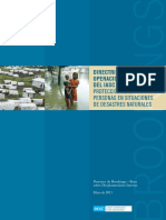 Directrices Operacionales del IASC  Sobre la Proteccion de las Personas en Situaciones de Desastres  Naturales.pdf