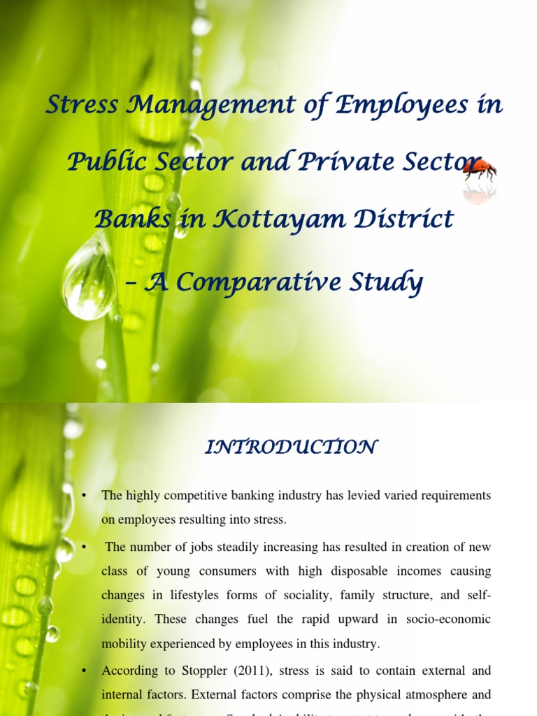 Stress Management in Banking Sector Study | PDF | Stress Management ...
