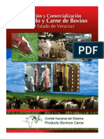 produccion_y_comercializacion_de_la_carne_veracruz_vf.pdf