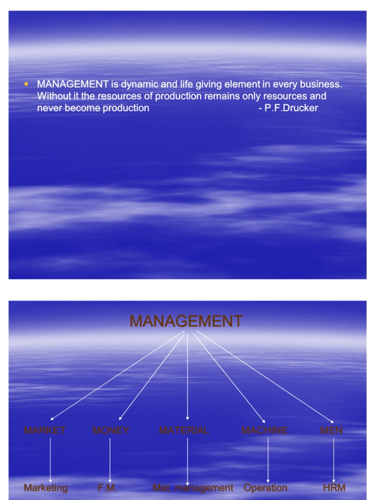 Document Analysis and Data Structure | PDF | Cognitive Science | Business