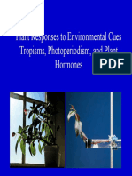 Plant Hormones.pdf