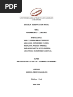 Y K ª G B Ss C U E Colacion Idiomas