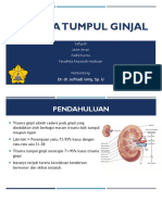 Trauma Tumpul Ginjal Slide