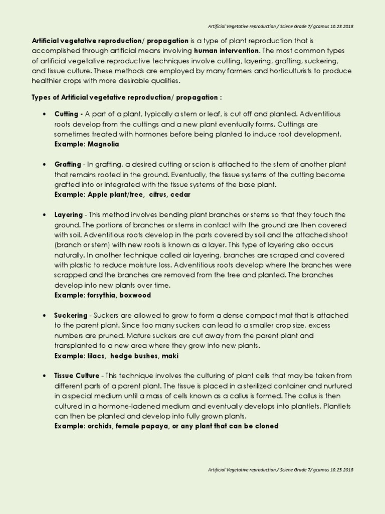 Artificial Vegetative Reproduction PDF Plants Horticulture And