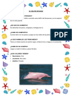 El Delfin Rosado Informe