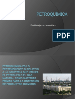 Petroquimica