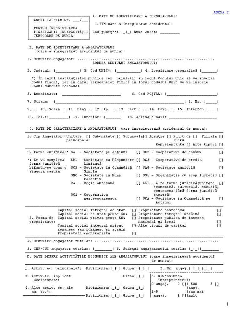 Anexa 2 Fiam | PDF