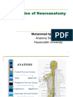 Introduction of Neuroanatomy (2016)