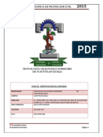 Tesci Programa P - C 2015 Incluyente