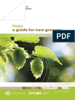 Hops Guide For New Growers