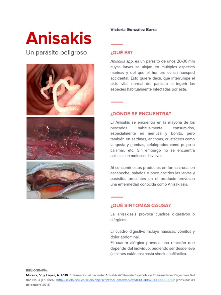 Anisakis: Síntomas y Riesgos en Humanos | PDF | Enfermedades y ...