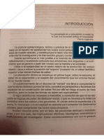 ARAUJO.pdf