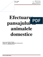 Ecec Animale