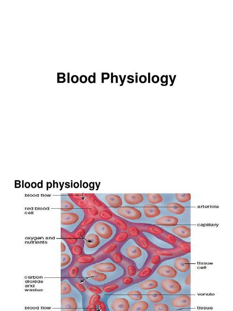 Overview of Blood Physiology | PDF | Blood Type | White Blood Cell