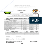 Informe Final de Proyeccion