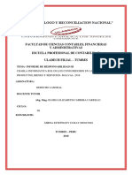 DERECHO - Informe de Responsabilidad III