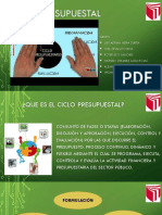 Ciclo Presupuestario Grupo 3 PDF