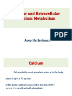 Calcium Metabolism