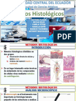 Citologia y Metodos Histologicos