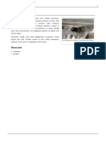 Zemunica PDF