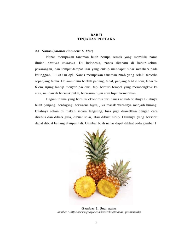 Bab 2 PDF | PDF