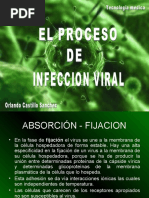 Download Proceso de Infeccion Viral by orlando-cs SN39552254 doc pdf