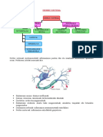 Nerbio Sistemea