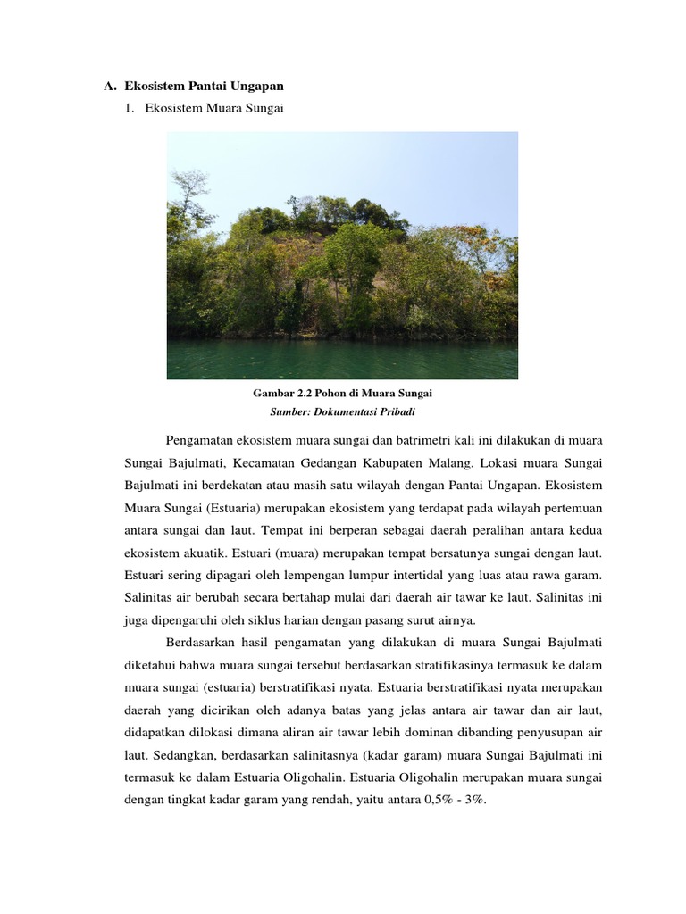 28 Koleksi Buatlah Gambar Ilustrasi Tentang Ekosistem 28 Koleksi Buatlah Gambar Ilustrasi Tentang Ekosistem