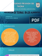 Ruta y Absorción, Distribución y Excreción De