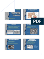 The Extracellular Matrix and Cell Interactions
