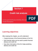 7. Credit risk analysis.pdf